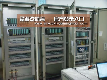 爱游戏体育案例展示五(图1)