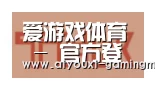 爱游戏体育合作伙伴二