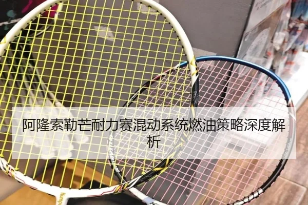 a-long-suo-lei-mang-nai-li-sai-hun-dong-xi-tong-ran-you-ce-lve-shen-du-jie-xi-2-152.jpg
