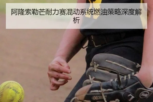 a-long-suo-lei-mang-nai-li-sai-hun-dong-xi-tong-ran-you-ce-lve-shen-du-jie-xi-3-385.jpg