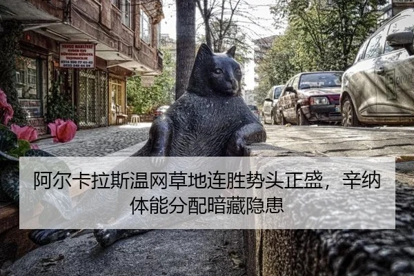 a-er-ka-la-si-wen-wang-cao-di-lian-sheng-shi-tou-zheng-sheng-xin-na-ti-neng-fen-pei-an-cang-yin-huan-2-117.jpg