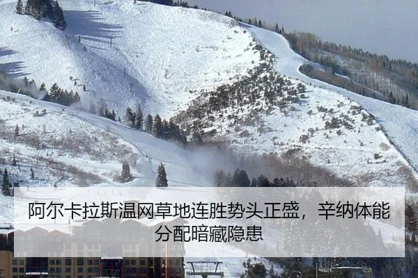 a-er-ka-la-si-wen-wang-cao-di-lian-sheng-shi-tou-zheng-sheng-xin-na-ti-neng-fen-pei-an-cang-yin-huan-3-521.jpg