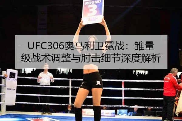 ao-ma-li-wei-mian-zhan-chu-liang-ji-zhan-shu-tiao-zheng-yu-zhou-ji-xi-jie-shen-du-jie-xi-3-566.jpg