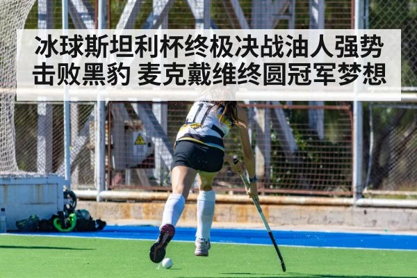 冰球斯坦利杯终极决战油人强势击败黑豹 麦克戴维终圆冠军梦想