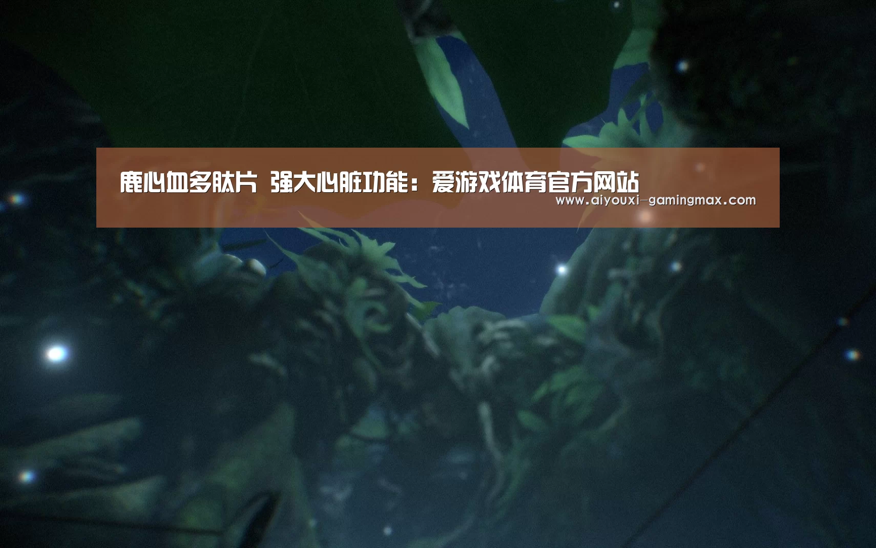 爱游戏官方入口