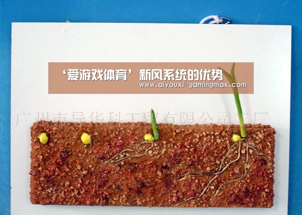爱游戏体育