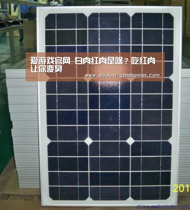爱游戏体育官方网站