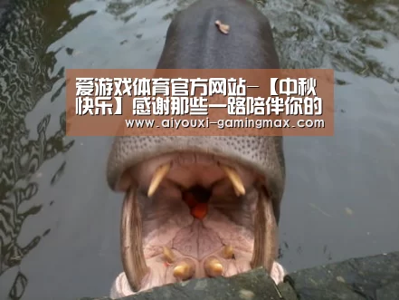 爱游戏官网